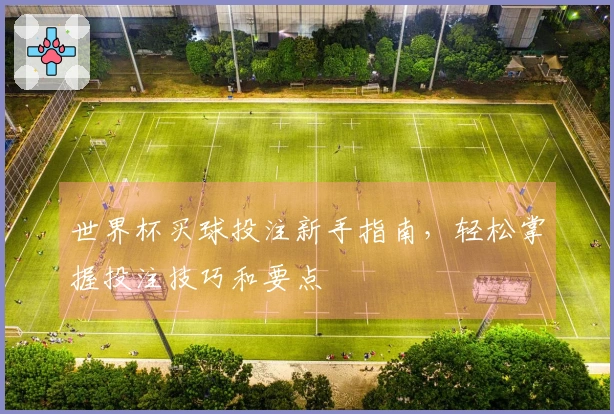 世界杯买球投注新手指南，轻松掌握投注技巧和要点