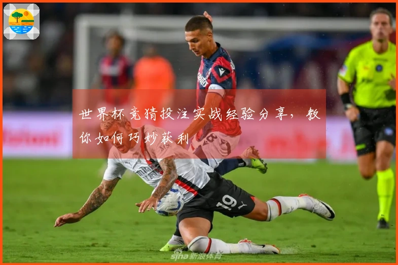 世界杯竞猜投注实战经验分享，教你如何巧妙获利