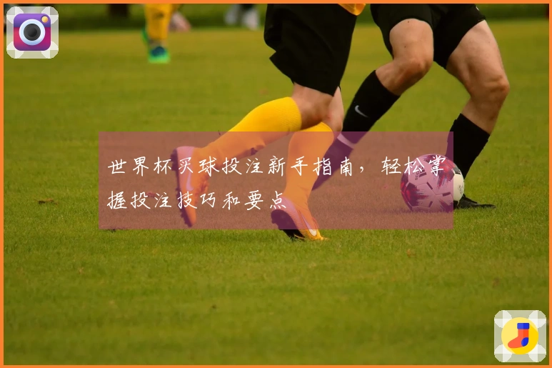 世界杯买球投注新手指南，轻松掌握投注技巧和要点